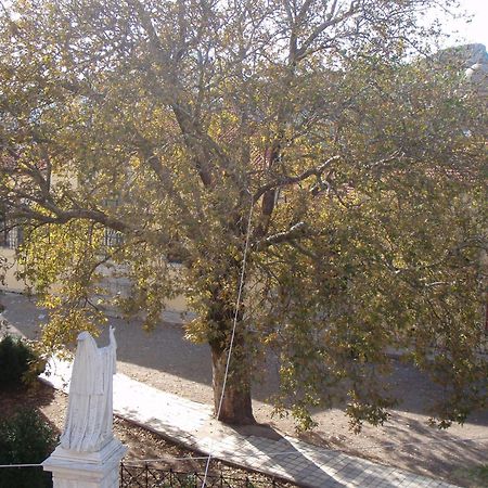 Guesthouse Kazakou ディミツァナ エクステリア 写真